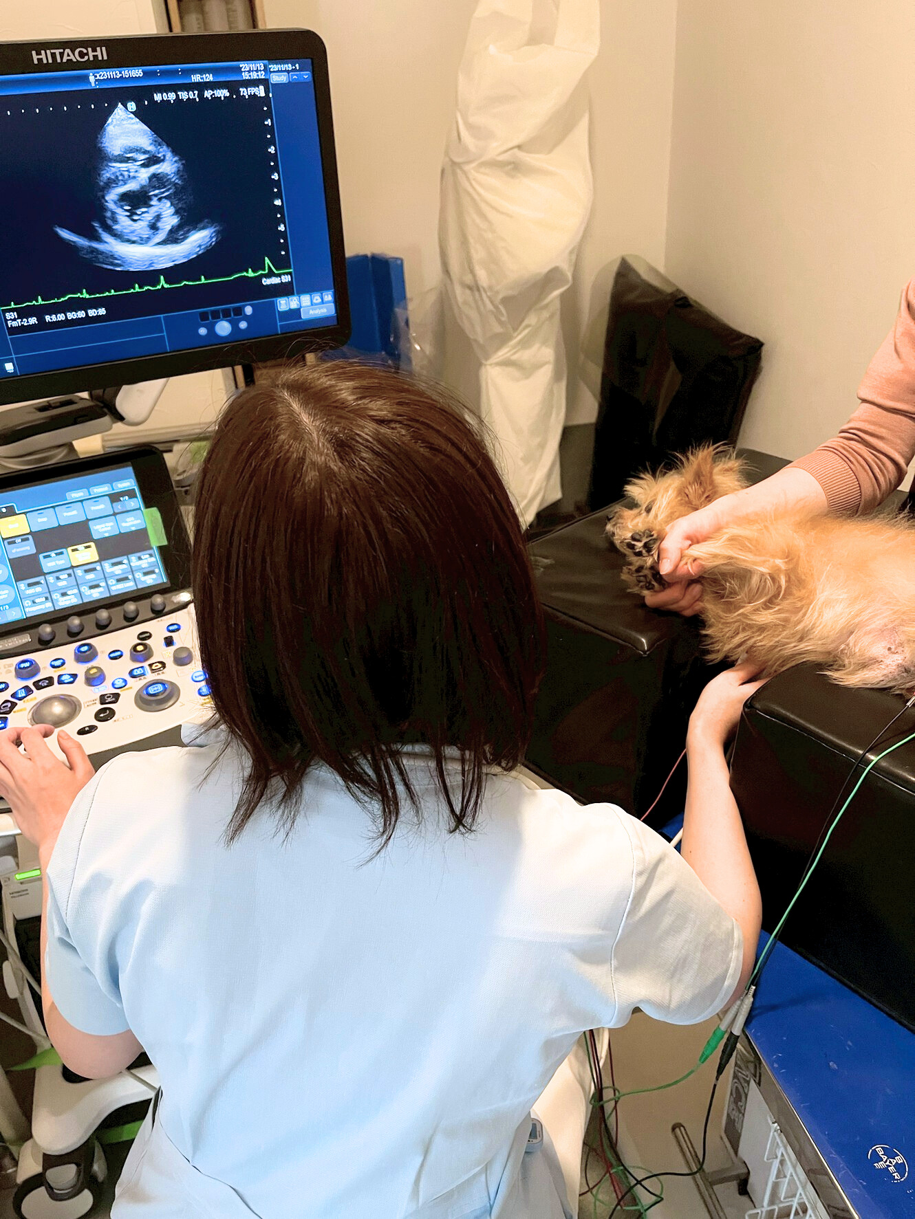 <img src="dog_echo_exam.jpg" alt="動物病院で犬の心臓エコー検査を行う様子。獣医師が超音波検査装置を操作し、モニターに映る心臓の動きを確認している。">