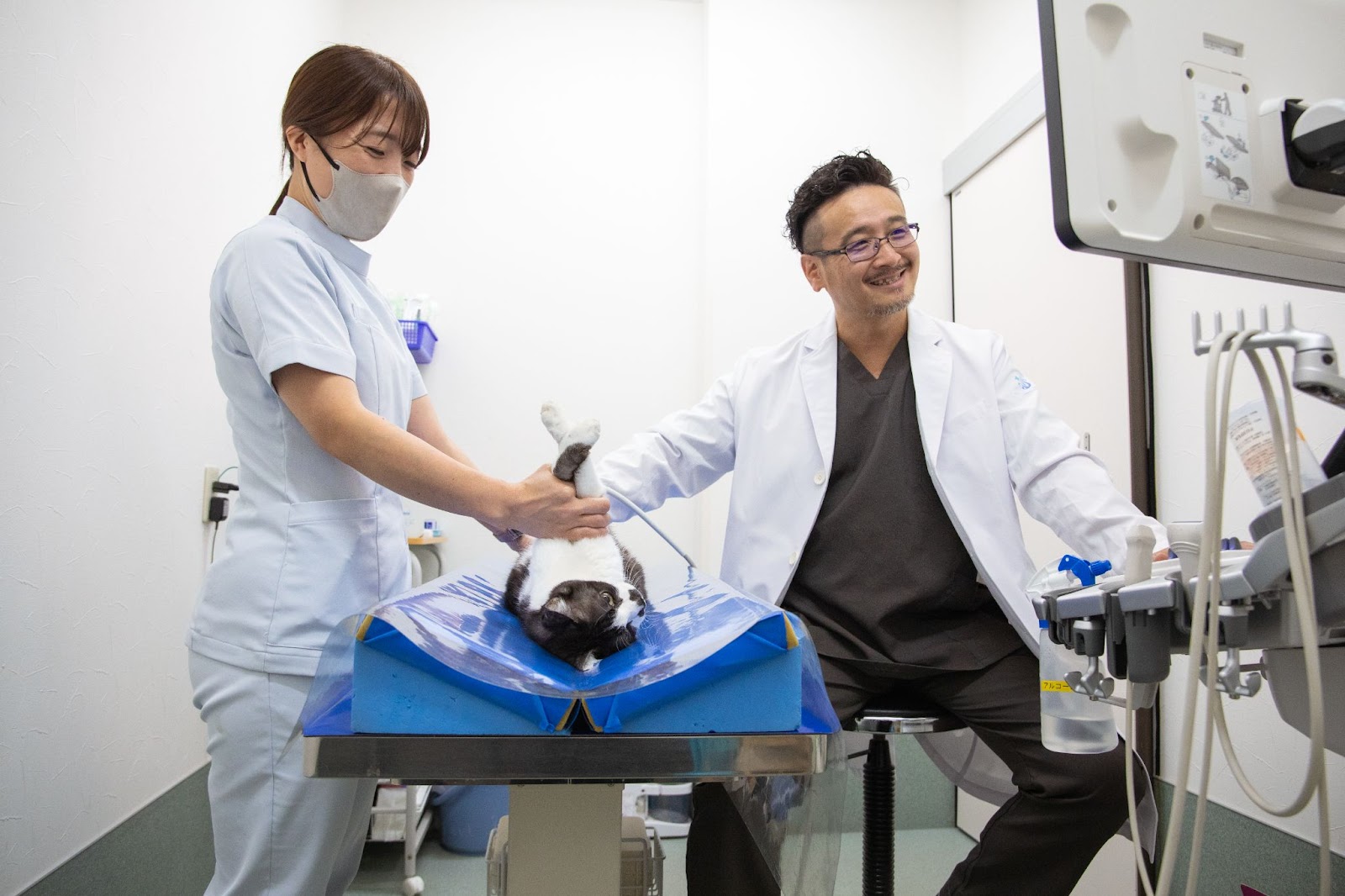 <img src="cat-examination.jpg" alt="検査台の上で仰向けになった猫を、モニターを見ながら優しく診察する獣医師と動物看護師の様子">