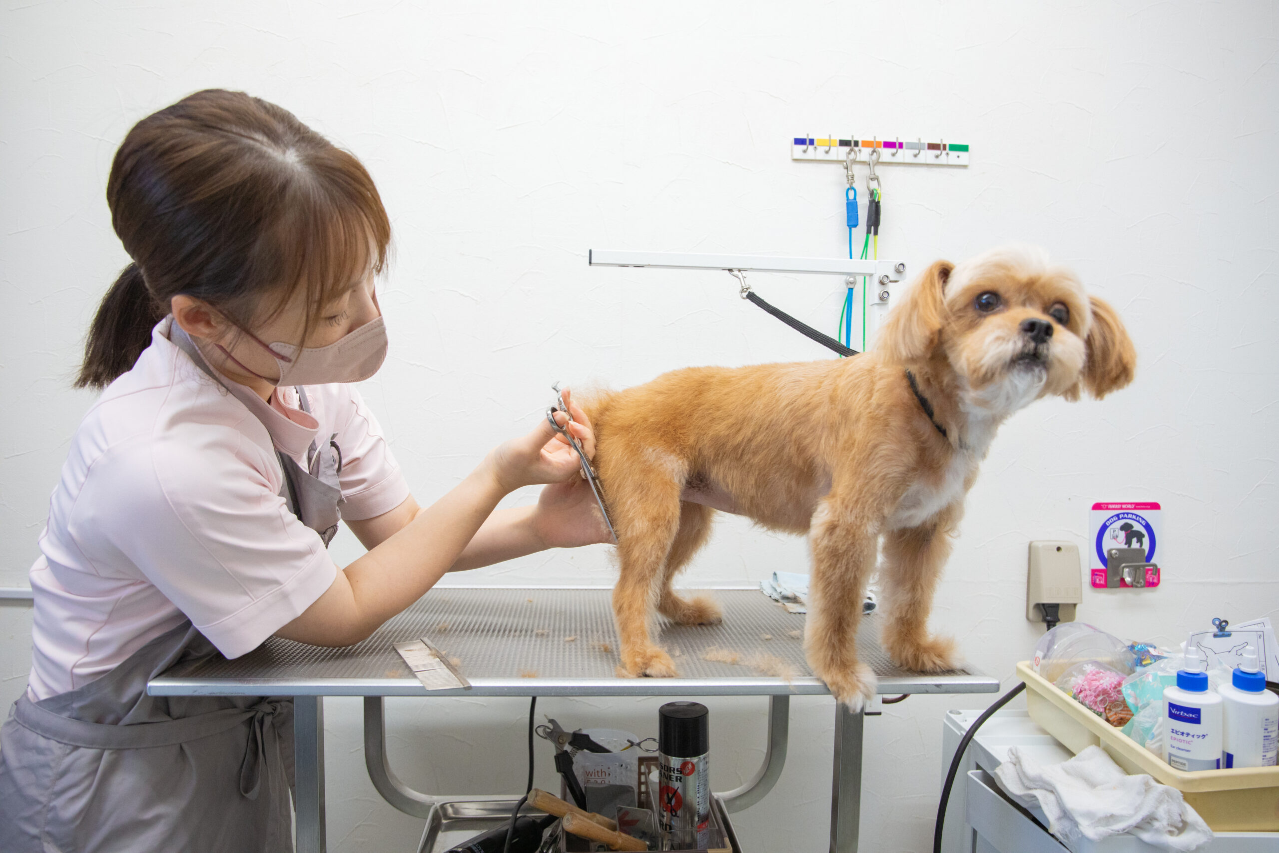 <img src="5F0A2519 (2).jpg" alt="動物病院のトリミング室で、トリマーが小型犬のお尻周りをカットしている様子">